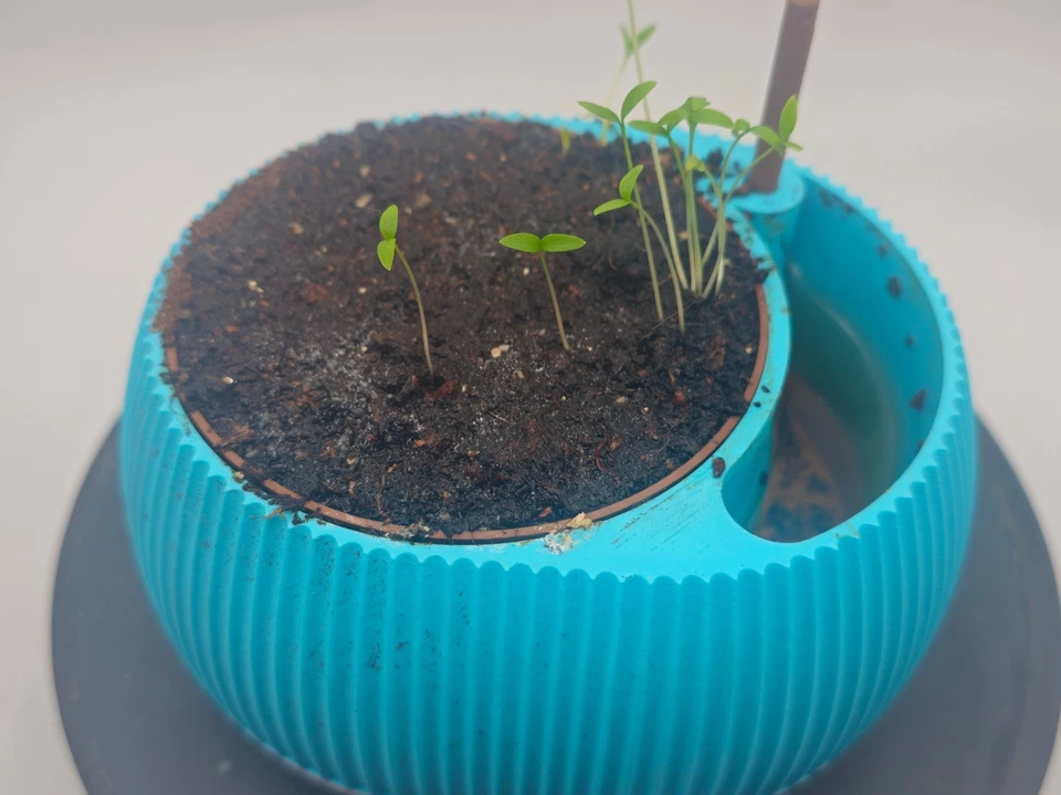 3D Printed Self-Watering Indoor Planter with Water Meter | 0.4 Quarts - Image 2 of 4