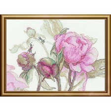 Aine counted cross stitch kit "Peonies. Delight", 18x15cm