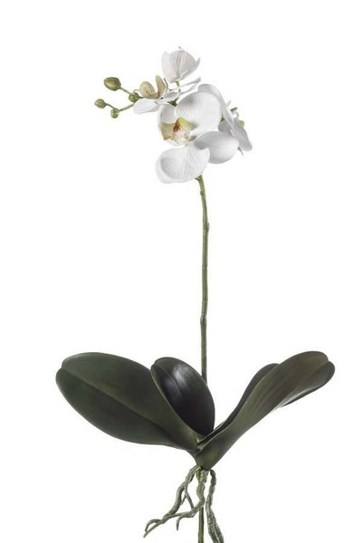 Artplants Kunstblume Phalaenopsis Orchidee Fao Auf Steckstab, Weiß, 45Cm-image