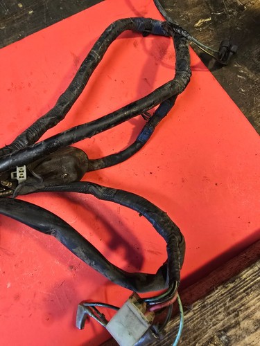 Honda Elite SB 50 wiring harness - Picture 6 of 7
