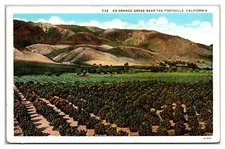 An Orange Grove Near The Foothills California Stamp Chester PA Ashfork & LA RPO