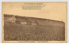 21 Around Nuits St Georges. The Cortons... The B Harvest