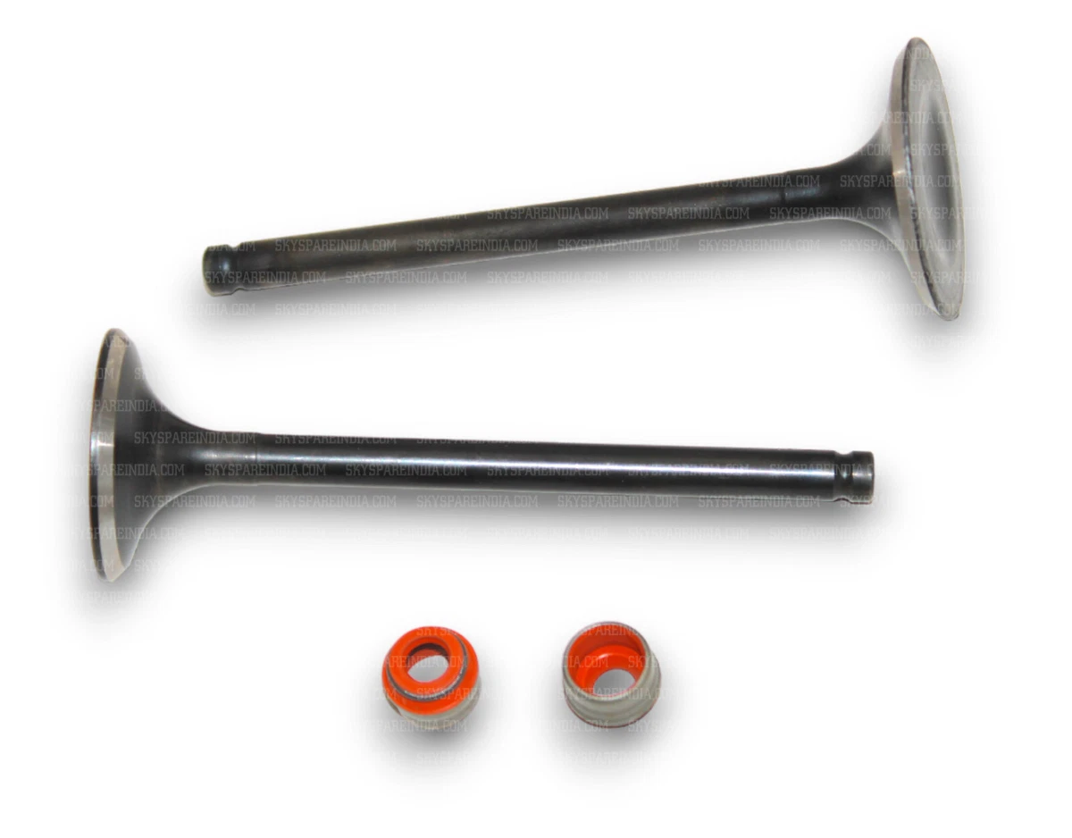 Engine Valve IN EX Set With Seal For Royal Enfield Himalayan Scram