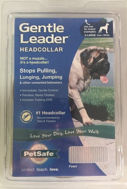 gentle leader headcollar