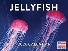 Jellyfish Calendar 2026 Monthly Wall Calender 12 Month Made In The USA
