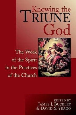 J. Buckley Knowing the Triune God (Taschenbuch)