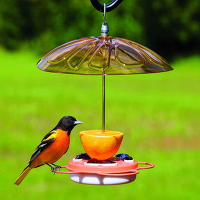 Style Selections Birdfeeder Plastic Hanging Squirrel-Resistant Oriole feeder - 