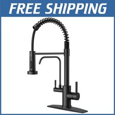 Black 2-in-1 Kitchen Faucet with Water Filter