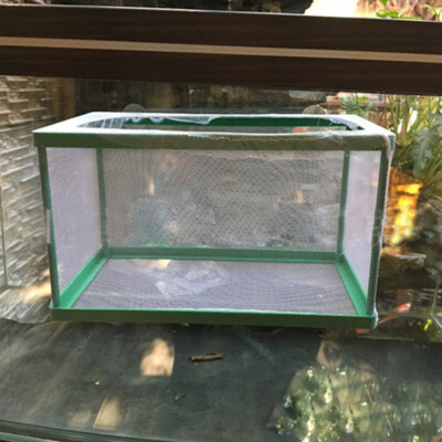 Drip Acclimation Kit Net Fish Tank Incubator Hatchery Box Aquarium Breeder  Box | eBay