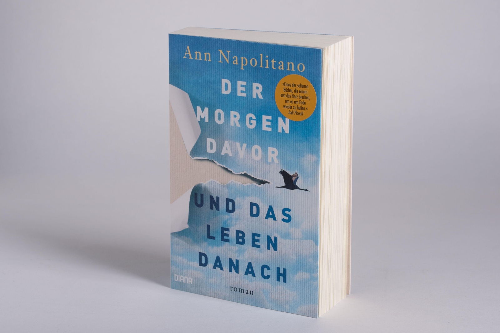 Thumbnail - Der Morgen Davor Und Das Leben Danach | Roman - Jetzt Als Apple Tv+