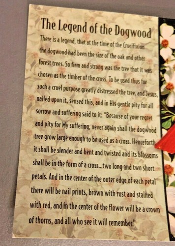 The Legend Of The Dogwood North Carolina Postcard, State Bird and Flower - Picture 6 of 6