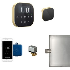 Mr Steam AirButler  Steam Generator Control K...