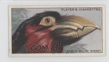 1929 Player's Curious Beaks Tobacco Groove-billed Barbet #3 kn8