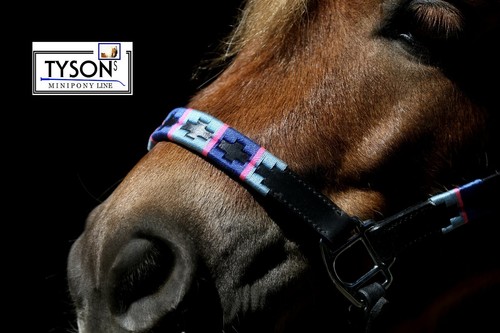 Lederhalfter Winny Leder Halfter Polo Minishetty Mini Shetty Minipony Leder TY - Bild 31 von 52
