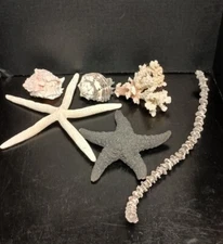 Lot Of Marine Life Decor Linckia, Starfish, Murex, Sea Shells, Coral
