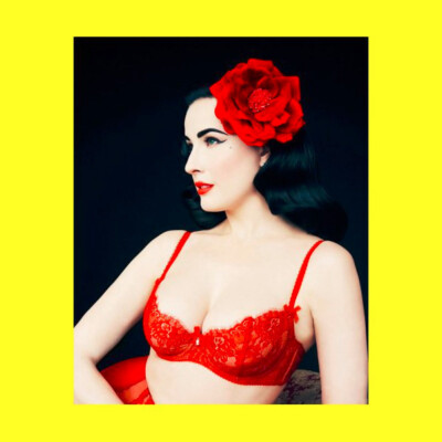 Dita Von Teese #A1I306 - 8x10 Photo Printed at a Lab