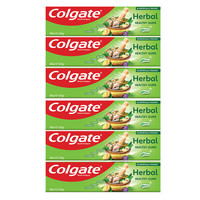 Colgate Herbal Toothpaste 100 ml x 6