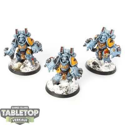 Space Wolves - 3x Aggressor Squad - bemalt