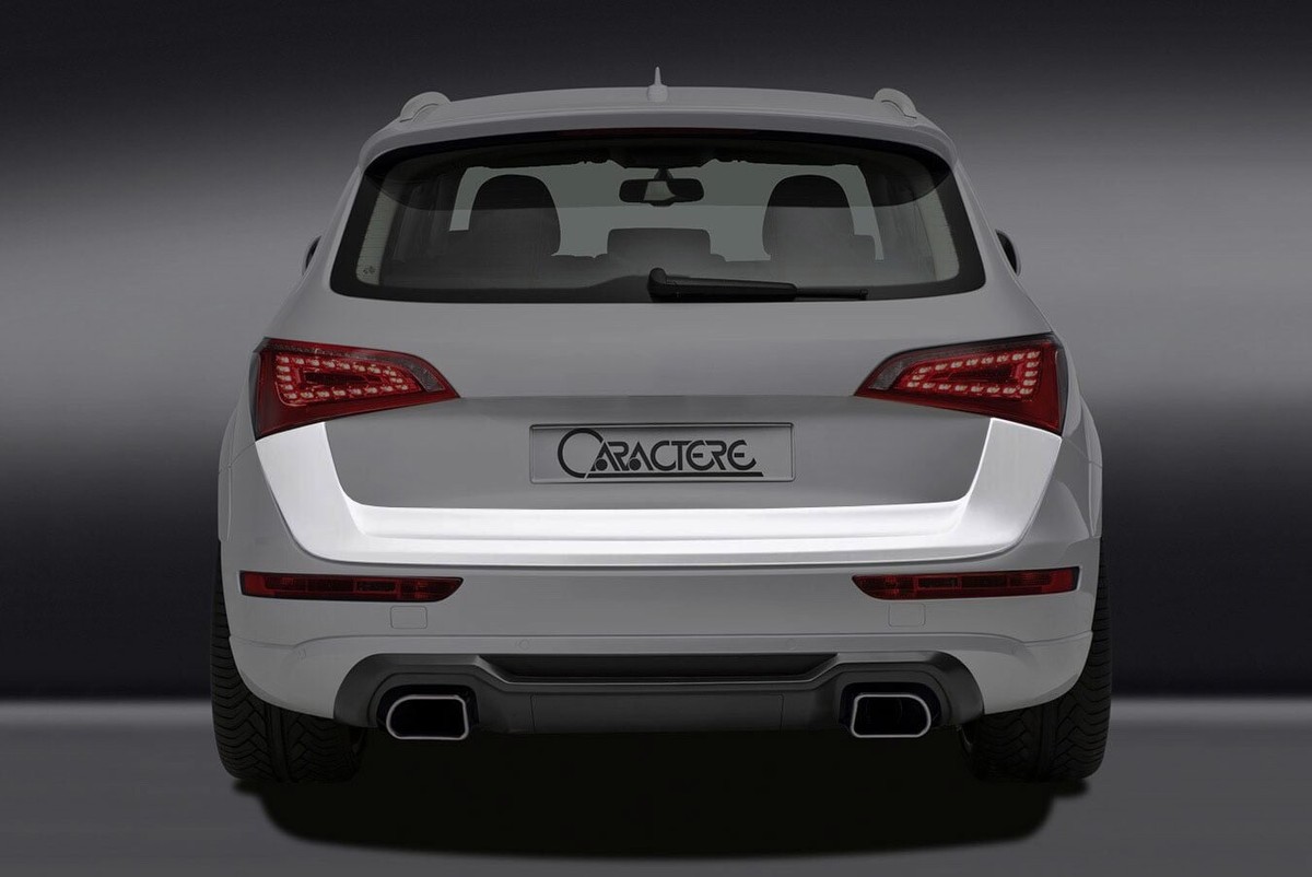 CARACTERE TAIL GATE ADD-ON fit Audi Q5 SQ5 | eBay CARACTERE TAIL GATE ADD-ON fit Audi Q5 SQ5 | eBay