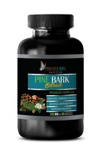 immune support capsules - PINE BARK EXTRACT - brain supporter 1 BOTTLE