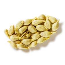 une graine de citron bio