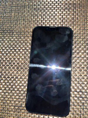 iPhone 13 Pro Max 256GB