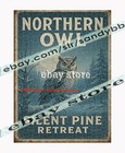 500 piece jigsaw puzzle Silent Pine Owl wilderness