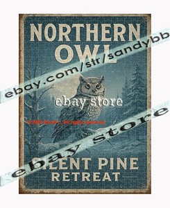 500 piece jigsaw puzzle Silent Pine Owl wilderness