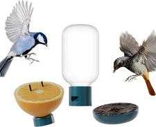 Birdbuddy 3-In-1 Nutrition Set - Outdoor Bird Accessories with Water Fountain, F