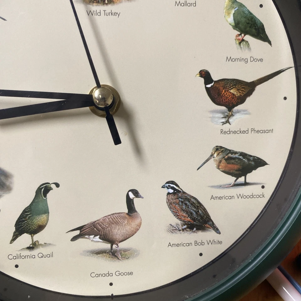 "Reloj Pájaro Pequeño 8"" Cazador Color Verde Hace Sonidos de Pájaro Probado Funciona Turquía" Foto 3 de 4