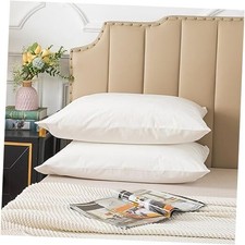 Set of 2 Velvet Queen Size Pillowcase, Soft and Queen 20 x 30 Inch White