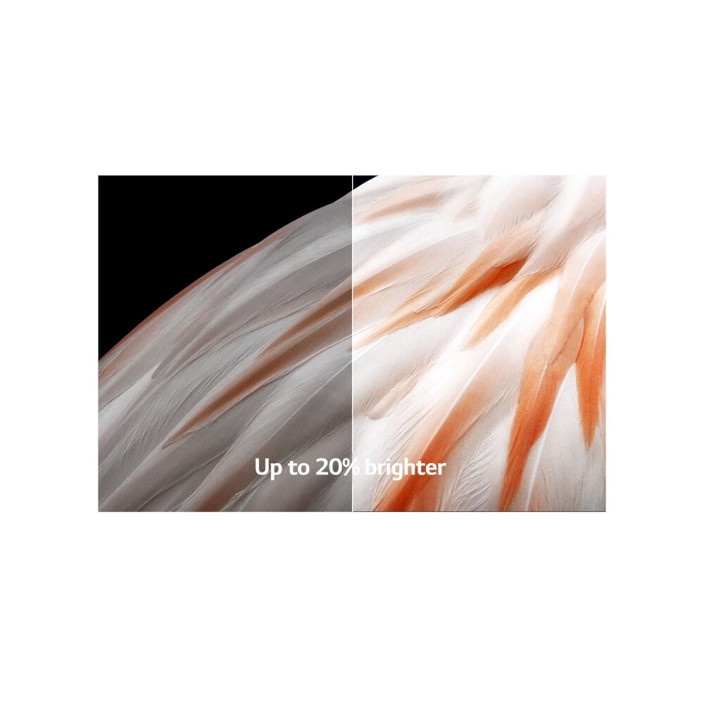 LG OLED77C3P 77-Inch OLED evo C3 4K Smart TV - 2023 Model