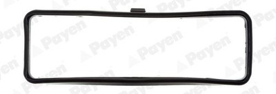 Payen VENTILDECKELDICHTUNGEN für ARO LEXUS RENAULT TOYOTA JN936