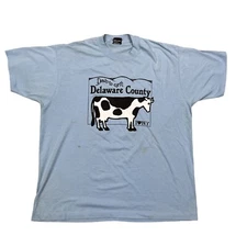 VTG Screen Stars Down to Earth Delaware County New York Blue T-Shirt Size XXL