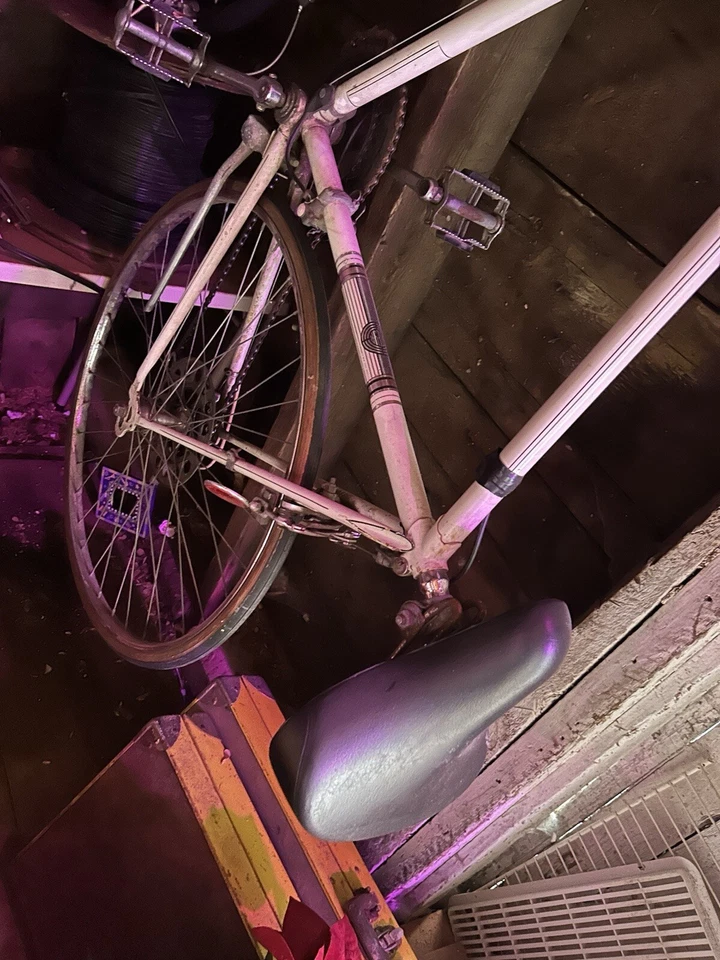 Bicicleta de corrida Austria 1972 - Imagem 2 de 4