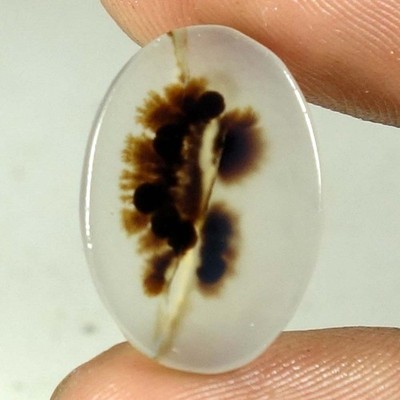100% Natural Designer Scenic Dendrite Oval Cab Rare Gemstones 8.55Cts 14x20x03mm