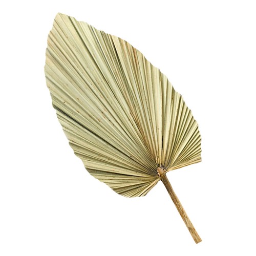 Dried Palm Fans Woven Fan Bridal Bouquet Handheld Cooling Fan - Picture 6 of 21