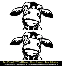 Peeking Cows Two Pack 5" White or Black Vinyl Decal Vehicles Windows Mailbox
