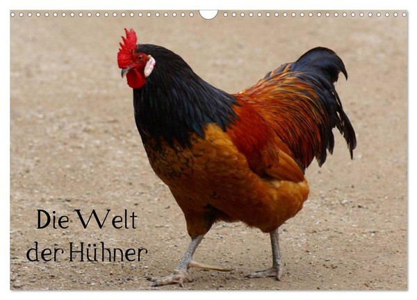 "Calendar 2027 · US Version · The World Of Chickens (Wall Calendar 2027 17\" × 12\""-image