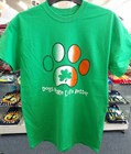 Foto 13 di 39