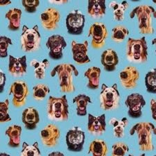 Follow Your Nose Dog Cotton Fabric Elizabeth Studios Blue By The Yard