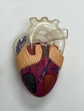 Vintage 1995 Magic School Bus Body Safari Heart Central Kenner