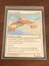 Magic the Gathering Worldwake Apex Hawks