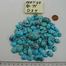 Persian Turquoise 100% Natural 88 Oval Cabochon 1005 TCW