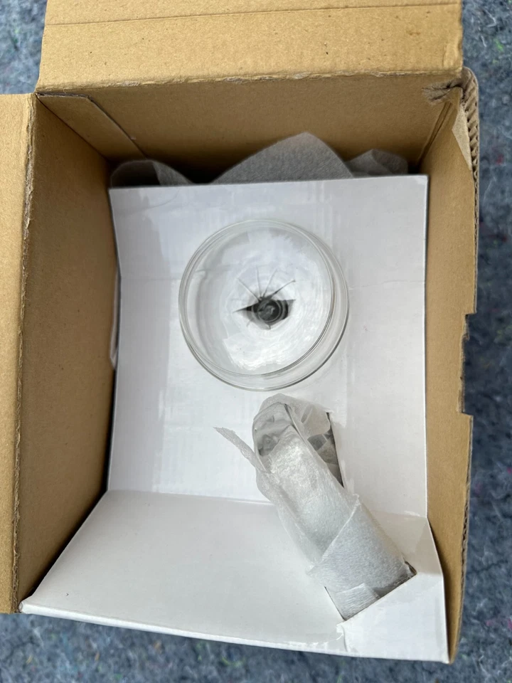 PRIMULA 34oz Glass Tea Pot Spout Filter Ice Stove Dishwasher Microwave Safe NEW - Image 3 of 4