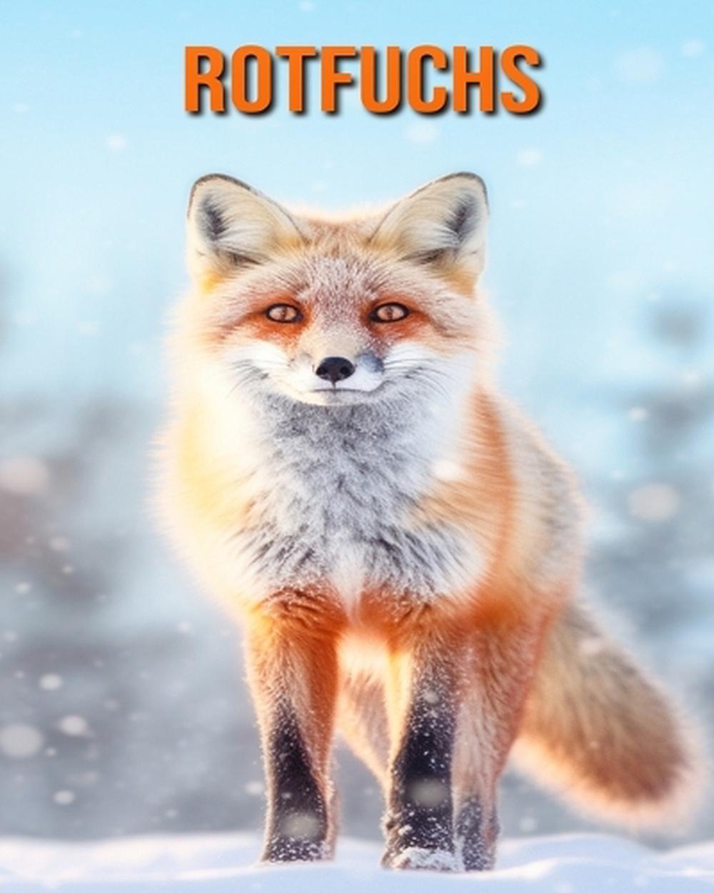 rotfuchs-buch-mit-erstaunlichen-fotos-und-lustigen-fakten-f-r-kinder