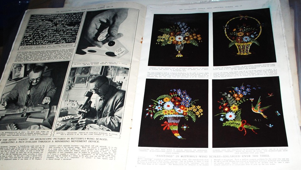 ILLUSTRATED LONDON NEWS CHRISTMAS NUMBER, 1950 1ST EDITION ILLUSTRATED