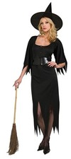 Witch Wicked Gothic Sorceress Carnival Fancy Dress Up Halloween Adult Costume
