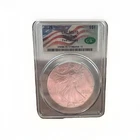 U.S. Mint 2025 American Silver Eagle $1 CAC MS70 First Delivery 1 oz .999