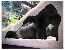 Aquarium & Terrarium Corner Cave – Faux Mangrove Root Hideout for Fish, Shrim...